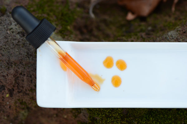 Banished™ and Beyond™ Package for Acne