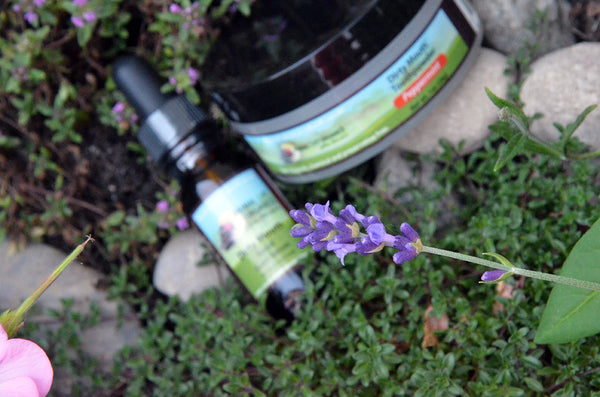 Dirty Mouth™ Package