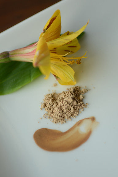 Dark Warm Foundation