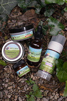 Starter Package for Face and Body