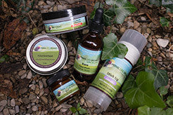 Starter Package for Face and Body