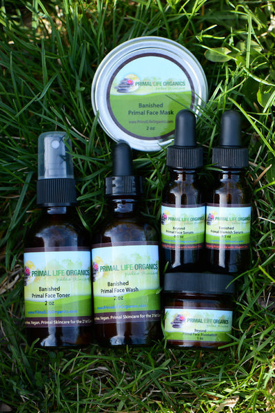 Banished™ and Beyond™ Package for Acne